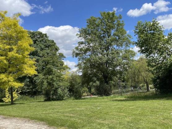 FORFAIT CLASSIQUE-1 PERSONNE Véhicule+ Electricité 10 A