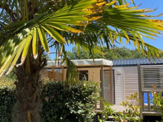 Mobil-home PREMIUM GARDEN SPA climatisé - 3 chambres (Année 2023)