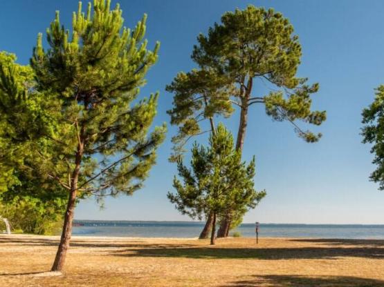 Emplacement pour tente uniquement avec électricité - Piéton Vue Lac 1ère ligne / M