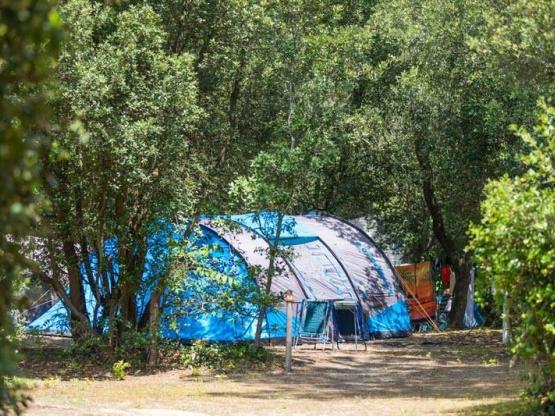 Pitch for tent only with electricity - Pedestrian Access