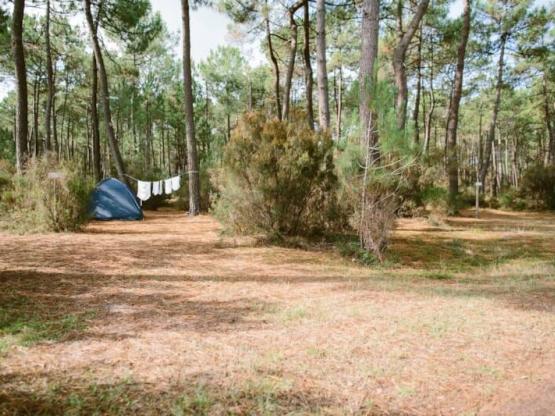 GRAND SAFARI : Large Tent pitch  + electricity
