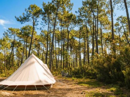 GRAND SAFARI : Large Tent pitch  + electricity