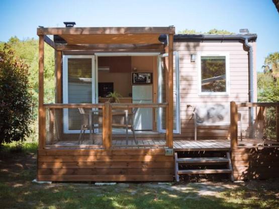 SUNÊLIA PRESTIGE ORANGER  - New for 2026