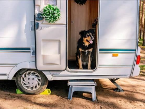 Emplacement Grand Véhicule - Electricité 16 A - Eau - Evacuation -