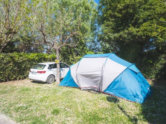 Comfort Pitch Medium for tent/van <5m (with electricity)