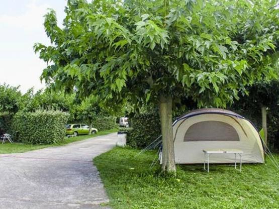 Comfort Pitch Small for tent (with electricity)