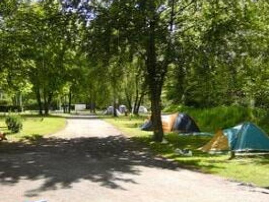 Tent + Car or RV Site