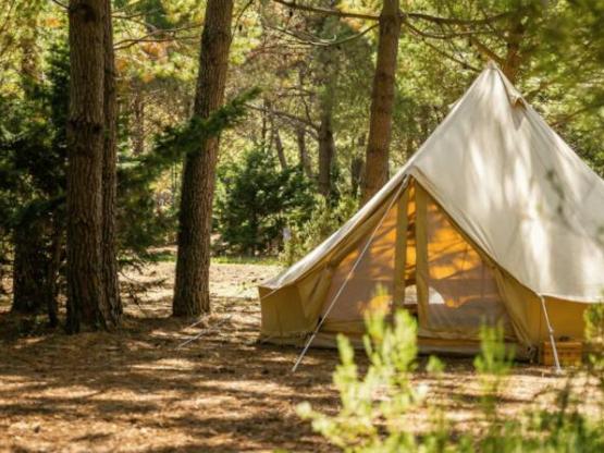 LARGE CAMPING AREA: Tent Site