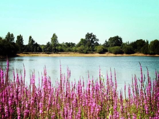 Otello Duo Espace 2 bathrooms Premium