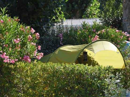 Pitch Confort Family