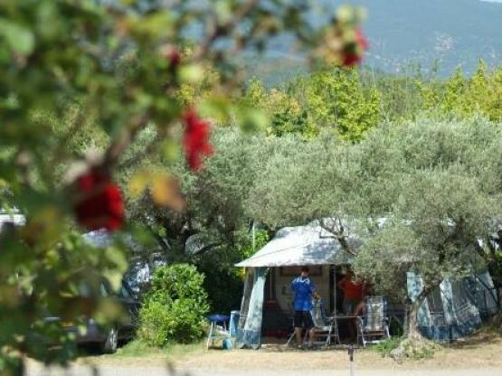 Comfort pitch 100m²