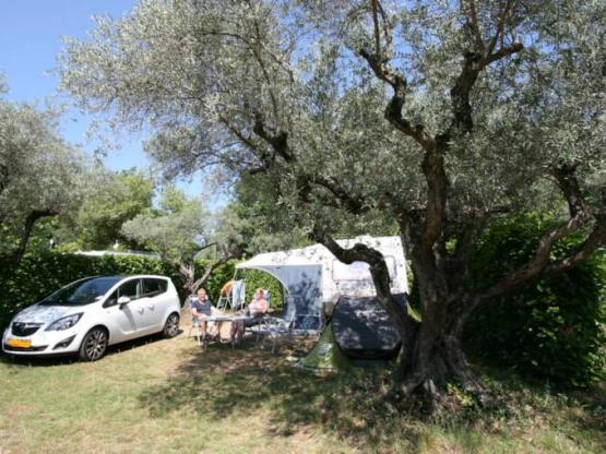 Pitch Confort 100m²
