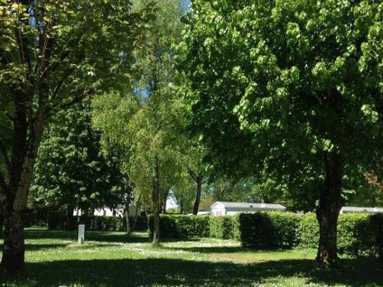 Stellplatz Natur : Auto + Zelt