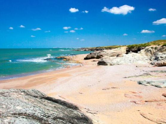 Mobile-Home Privilège Noirmoutier - 3 Bedrooms