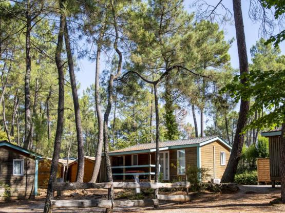 Chalet MIMOSA - 2 Rooms