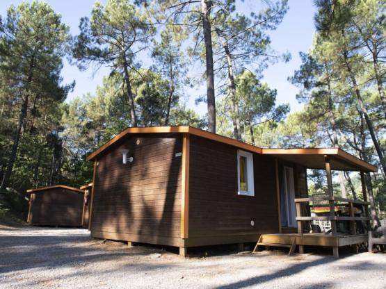 Chalet BRUYERE - 2 Rooms