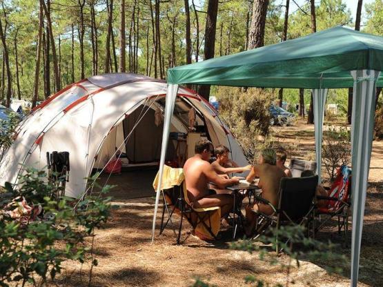 SAFARI : Tentplaats + Elektriciteit