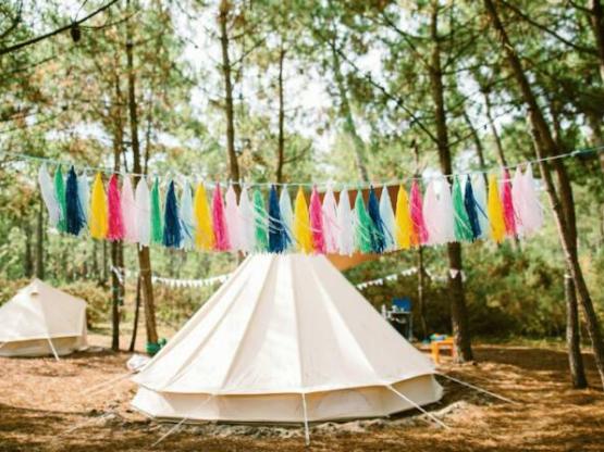 SAFARI : Tent pitch + electricity