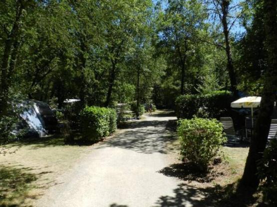 Pitch with electricity