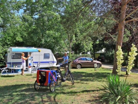 Pitche, sunny, shade, or both, limited by hedges and trees