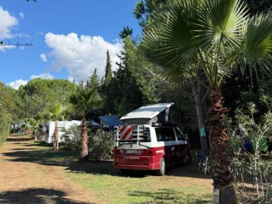 Comfort Package (1 tent, caravan or motorhome / 1 car / electricity 10A)