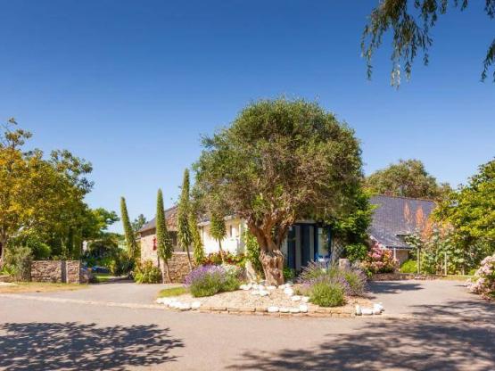 Pitch CLASSIQUE PREMIUM