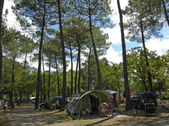 Parcela + coche + tienda o caravana + electricidad