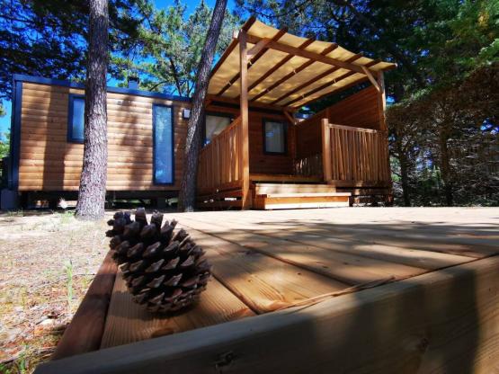 Tent ECOLODGE 21m² - 2 bedrooms - without toilet blocks (2019) semi covered wooden terrace