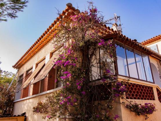 Apartment Bougainvillier 44 m² - 3 rooms - 2 Bedrooms - Air conditioning