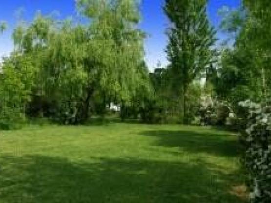 Pitch + 1 car + tent , caravan or motor home + electricity 10 A