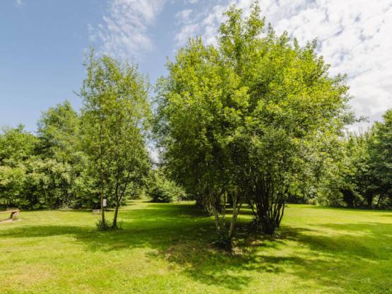 Nature Package : 1 car + tent/caravan or camping-car