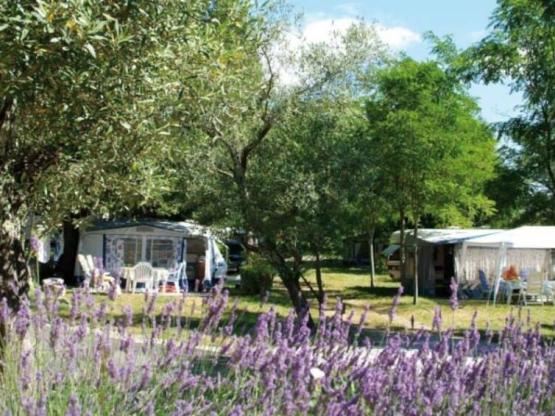 Pitch CONFORT, vehicle, electricity 10A