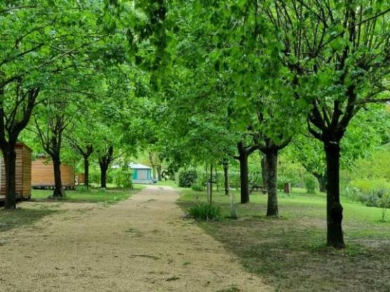 Package: Pitch + car + tent or caravan