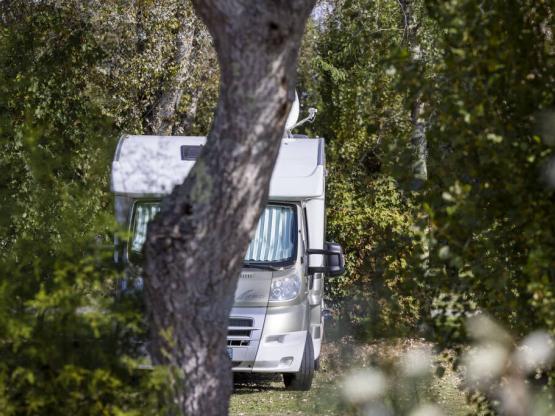 Pitch: car + tent or caravan + electricity