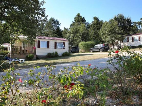 Cottage Privilège Muscadelle - TV, large fridge-freezer and covered terrace
