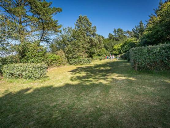 Pitch without electricity