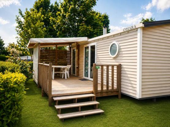 Comfort + bungalow
