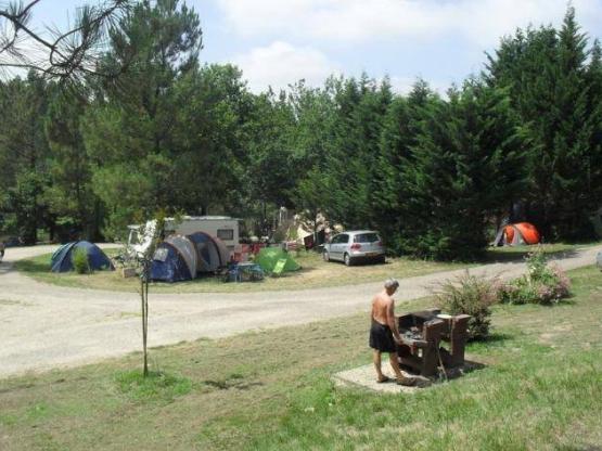 Camping pitch Nature with electricity 6A  included - 80 à 100 m² for tente or caravan only