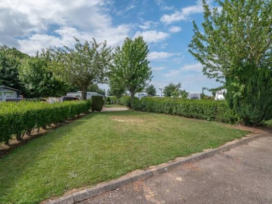 Pitch Tent + electricity + vehicle