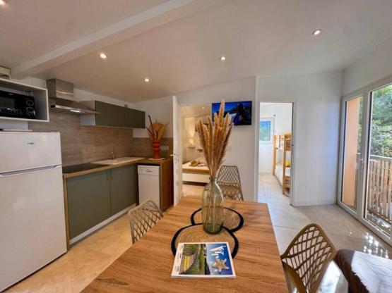 Studio cabine Mimosas Sérénité 18 m² - 2 rooms - 1 bedroom - Air conditioning