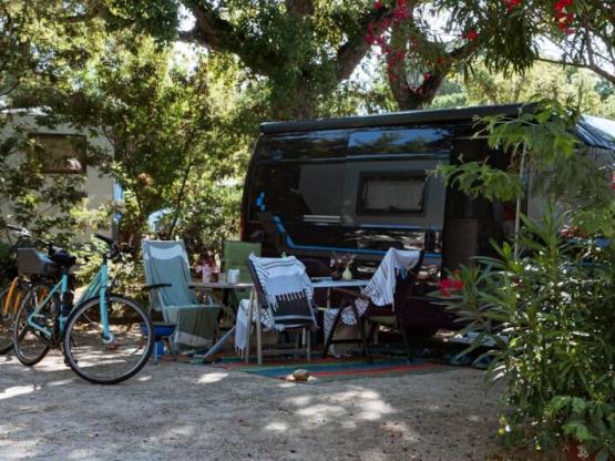 Pitch + Vehicle + Tent or Caravan + electricity
