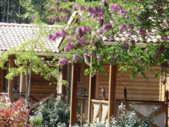 Chalet Grand Confort 3 bedrooms