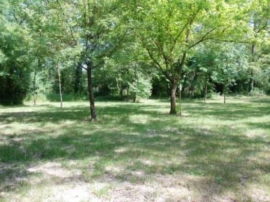 Pitch + camping-car + Electricity