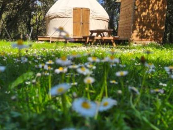 Mongolian Yurt without toilet blocks