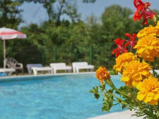 Lodge Freeflower Standard 37m² (2 bedrooms) - sheltered terrace