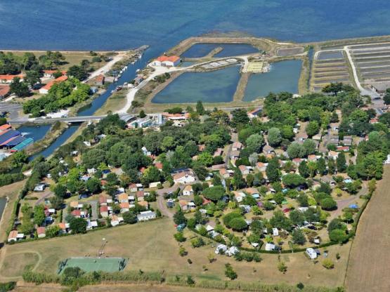 Camping La Brande Le Château Doléron Les Campings En
