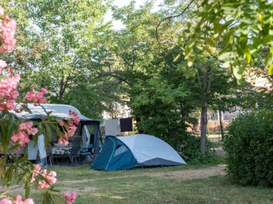 Pitch + vehicle + tent/caravan/motor home