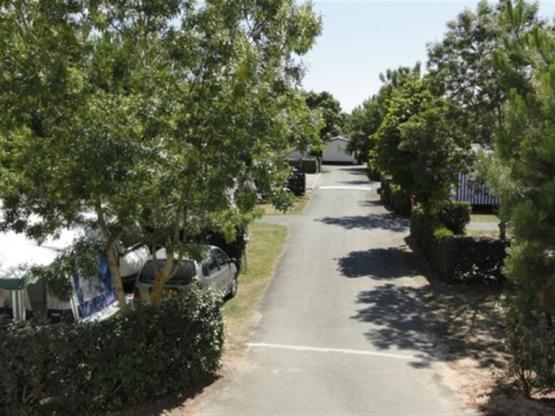 Package  Pitch/1car/electricity 10A