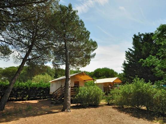 Hütte lodge auf Pfahl Standard 34m² - 2 zimmer - terrasse 10m²