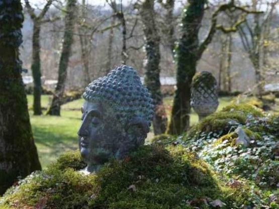 Kampeerplaats COMFORT - elektriciteit